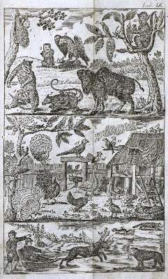 Bild Nr.4: 130-2026 (Scheibel,J.E.).: (Verschiedene Gebiete - Varia)