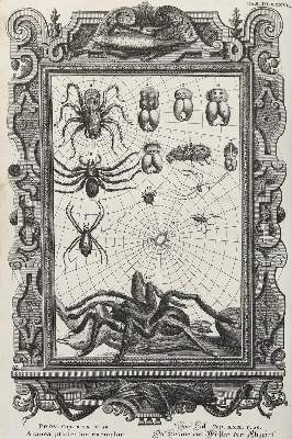 Bild Nr.3: 130-2027 Scheuchzer,J.J.: (Verschiedene Gebiete - Varia)