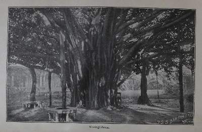 Bild Nr.1: 130-2082 Breitenstein,H.: (Asien, Indien)