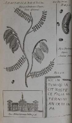 Bild Nr.1: 130-2432 Gentleman's Magazine, The,: (Verschiedene Länder - Geschichte)