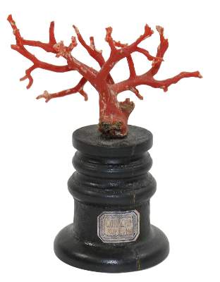 Bild Nr.1: 130-2744 Korallen-Installation Historismus.: (Schmuck, Korallen)