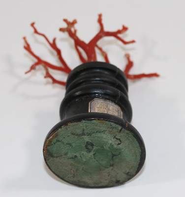 Bild Nr.3: 130-2744 Korallen-Installation Historismus.: (Schmuck, Korallen)