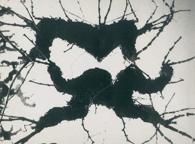 Bild Nr.2: 130-2831 Clergue, Lucien: (Photographie)