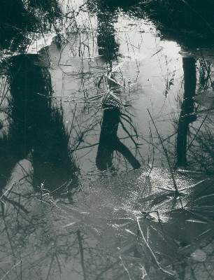 Bild Nr.1: 130-2834 Clergue, Lucien: (Photographie)