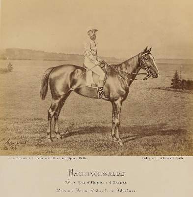Bild Nr.1: 130-2864 Schnaebeli,H.: (Photographie)