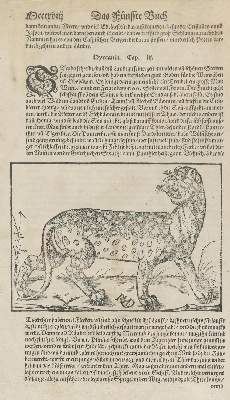 Bild Nr.2: 130-2902 Sammlung: (Varia, Botanik)