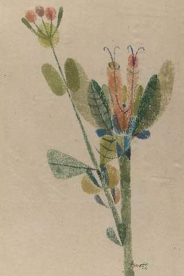 Bild Nr.5: 130-2902 Sammlung: (Varia, Botanik)