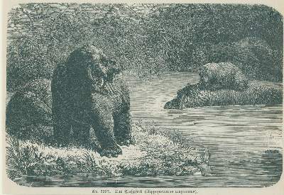 Bild Nr.2: 130-2910 Großer Bestand: (Varia, Dekorative Graphik)