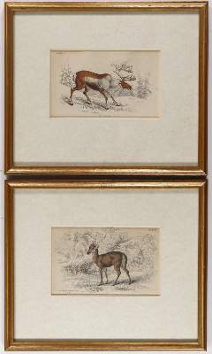 Bild Nr.3: 130-2920 Hirschjagd.: (Varia, Jagd)