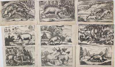 Bild Nr.2: 130-2922 Sammlung: (Varia, Jagd)