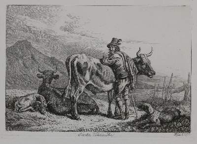 Bild Nr.2: 130-3016 Konvolut: (Varia, Zoologie)