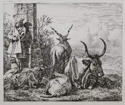 Bild Nr.21: 130-3016 Konvolut: (Varia, Zoologie)