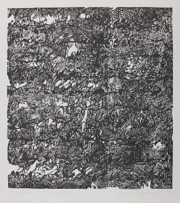 Bild Nr.2: 130-3753 Fintinariu, Suzana: (Künstlergraphik)