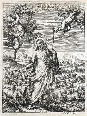 Bild Nr.2: 130-4 Amandus von Graz.: (Alte Drucke, Handschriften und Theologie)