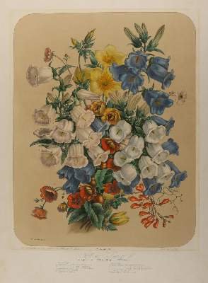 Bild Nr.7: 130-4037 Konvolut: (Künstlergraphik)