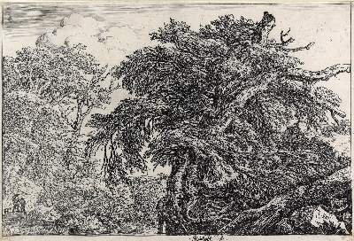 Bild Nr.3: 130-4151 Ostade, Adriaen van: (Künstlergraphik)