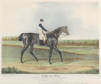 Bild Nr.1: 130-4168 Sutherland, Thomas.: (Künstlergraphik, Pferde)