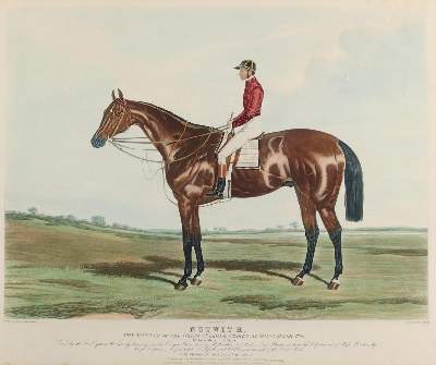 Bild Nr.2: 130-4168 Sutherland, Thomas.: (Künstlergraphik, Pferde)