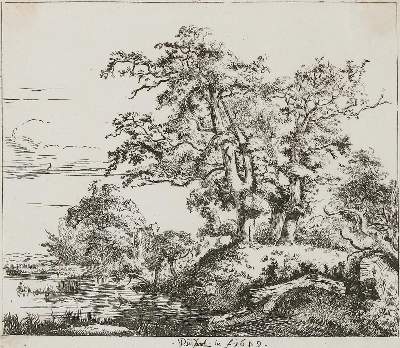 Bild Nr.1: 130-4286 Ruisdael, Jacob Isaackszoon: (Künstlergraphik)