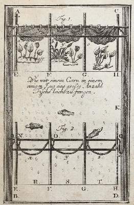 Bild Nr.2: 130-626 Wohlbewährte Fischgeheimnüsse,: (Jagd, Angeln)