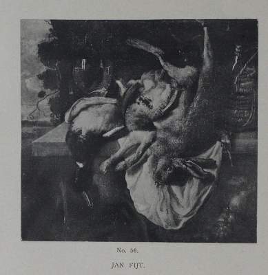 Bild Nr.1: 130-735 Wurster,C.: (Kataloge)