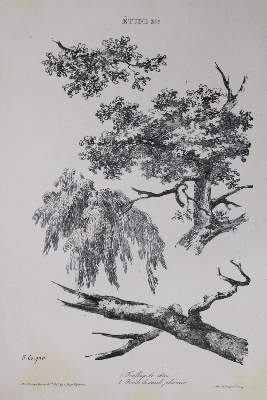 Bild Nr.1: 130-785 Wagenbauer,M.: (Kunstwissenschaft)