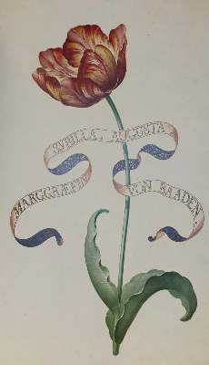 Bild Nr.1: 130-824 Karlsruher Tulpenbuch.: (Faksimile)