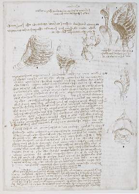Bild Nr.2: 130-825 Leonardo da Vinci.: (Faksimile)