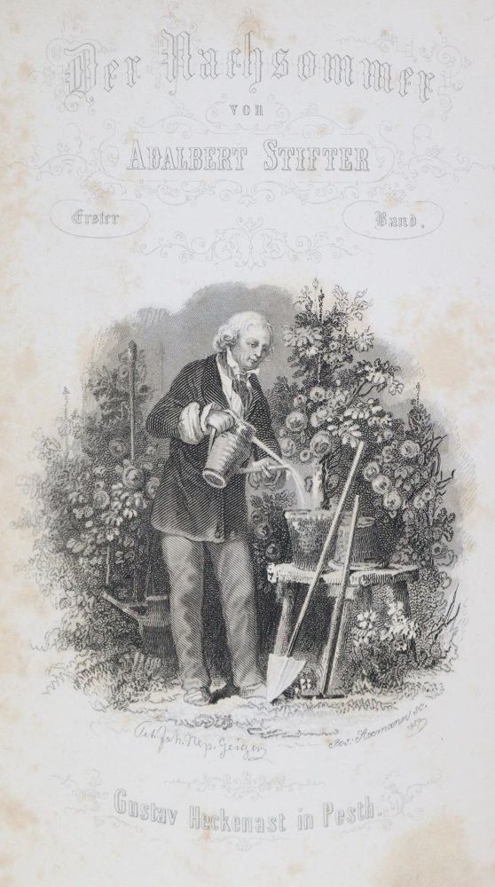 Große Abbildung Nr.2: 131-1045 Stifter,A.: (Literatur und illustrierte Bücher bis 19.Jahrhundert)