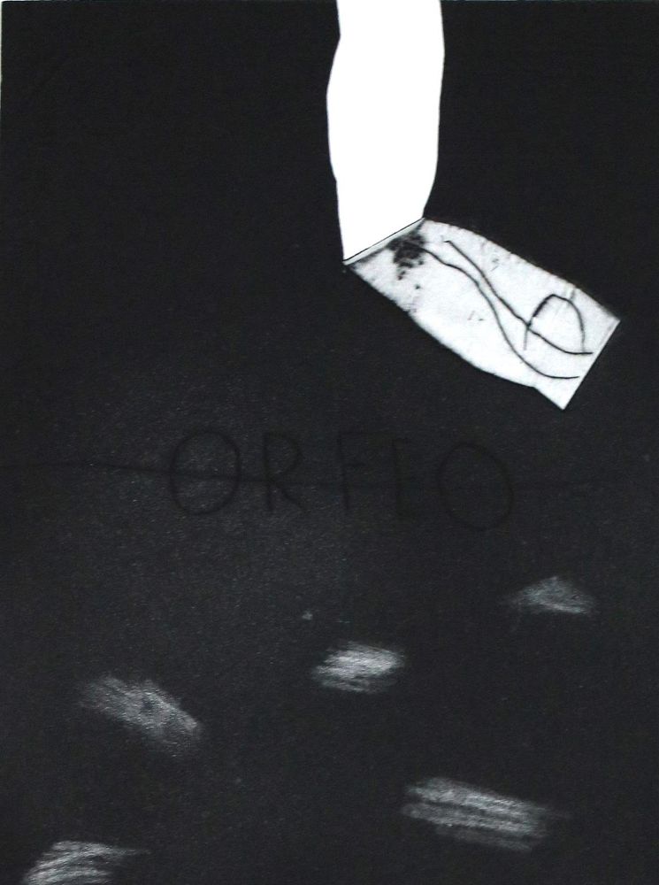 Große Abbildung Nr.21: 131-1072 Koeppen,W.: (Antinous-Presse)