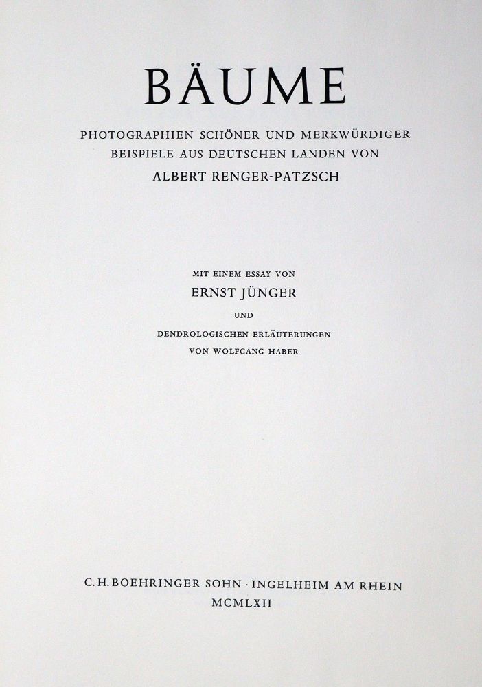 Große Abbildung Nr.2: 131-1218 Renger-Patzsch,A.: (Photographie)