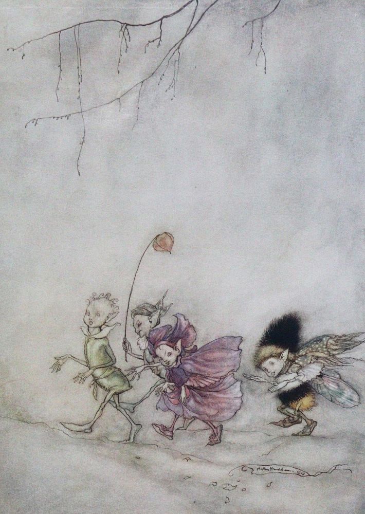 Große Abbildung Nr.1: 131-1238 Rackham,A.: (Literatur und illustrierte Bücher 20.Jahrhundert - Alte Literatur in modernen Ausgaben)