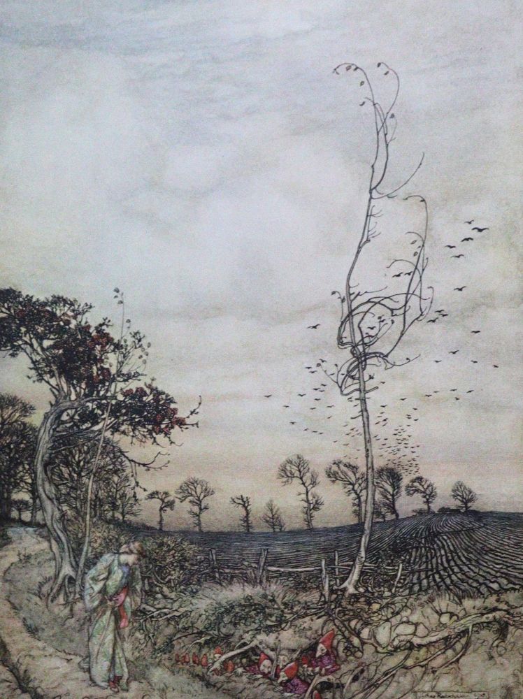 Große Abbildung Nr.2: 131-1238 Rackham,A.: (Literatur und illustrierte Bücher 20.Jahrhundert - Alte Literatur in modernen Ausgaben)