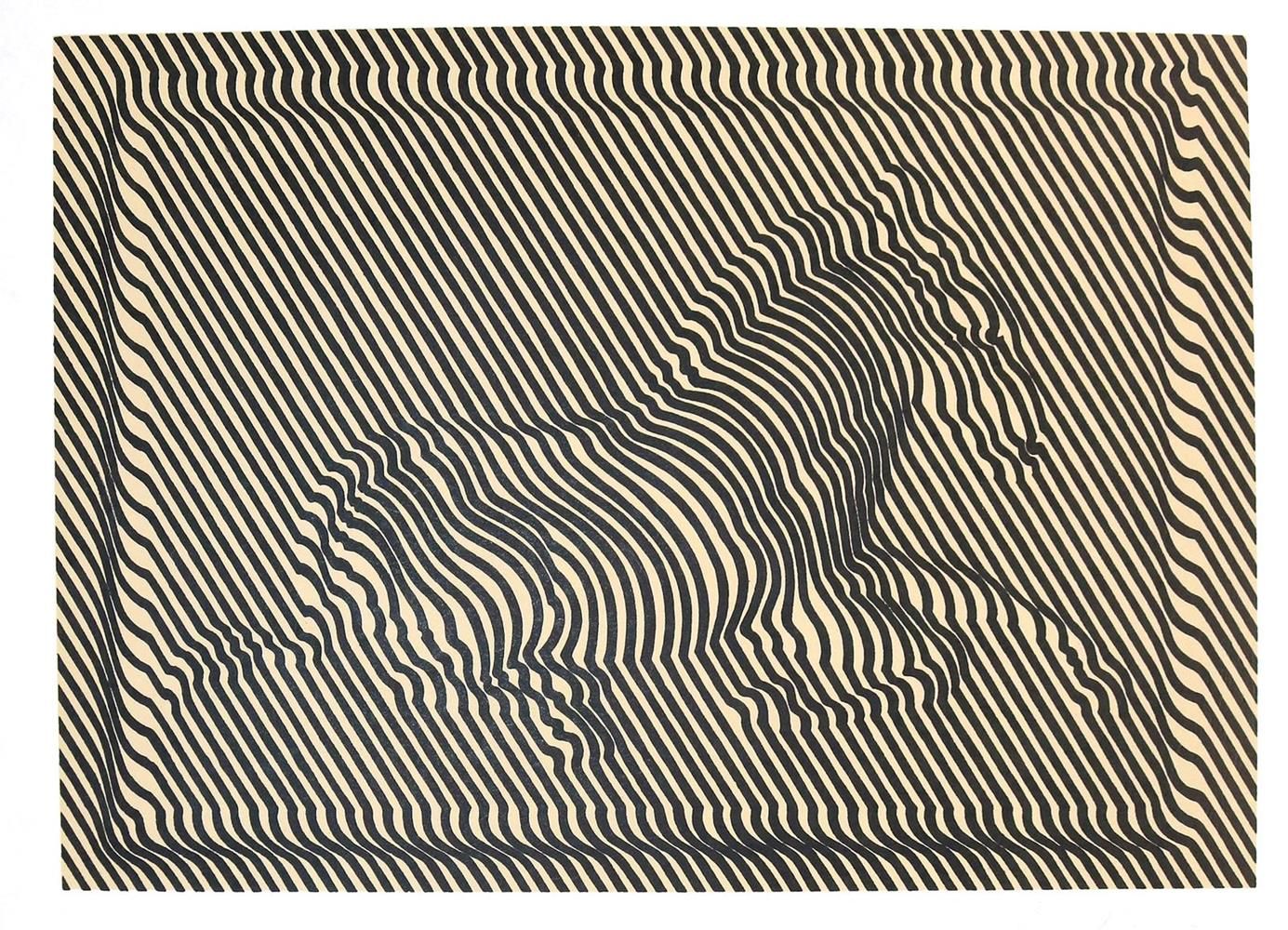 Große Abbildung Nr.6: 131-1287 Descartes,R.: (Vasarely)