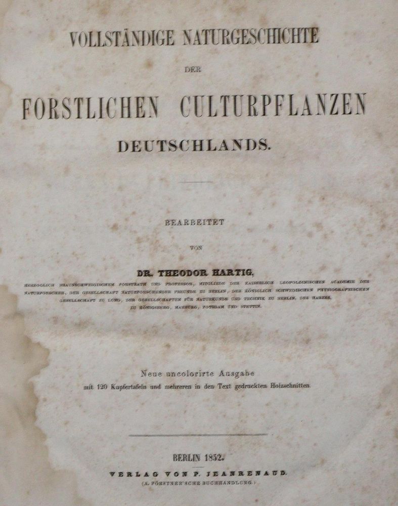 Große Abbildung Nr.3: 131-1306 Hartig,T.: (Botanik)