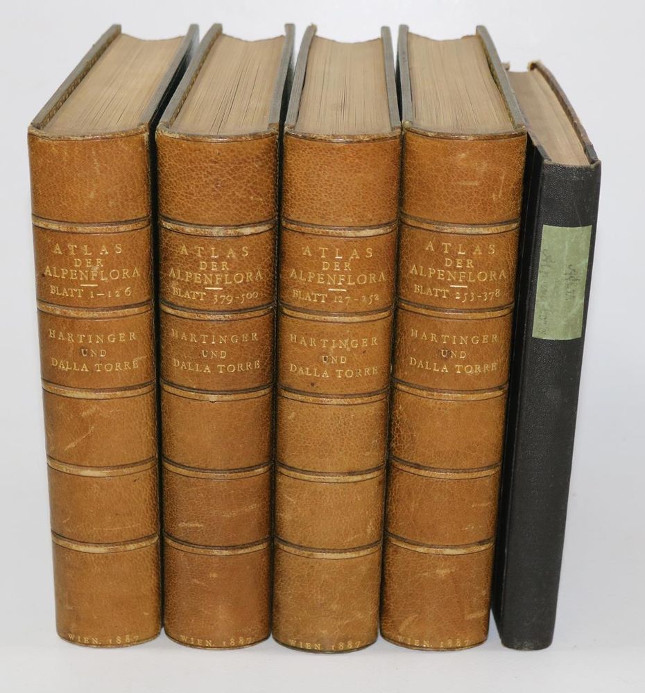 Große Abbildung Nr.2: 131-1307 Hartinger,A.: (Botanik)