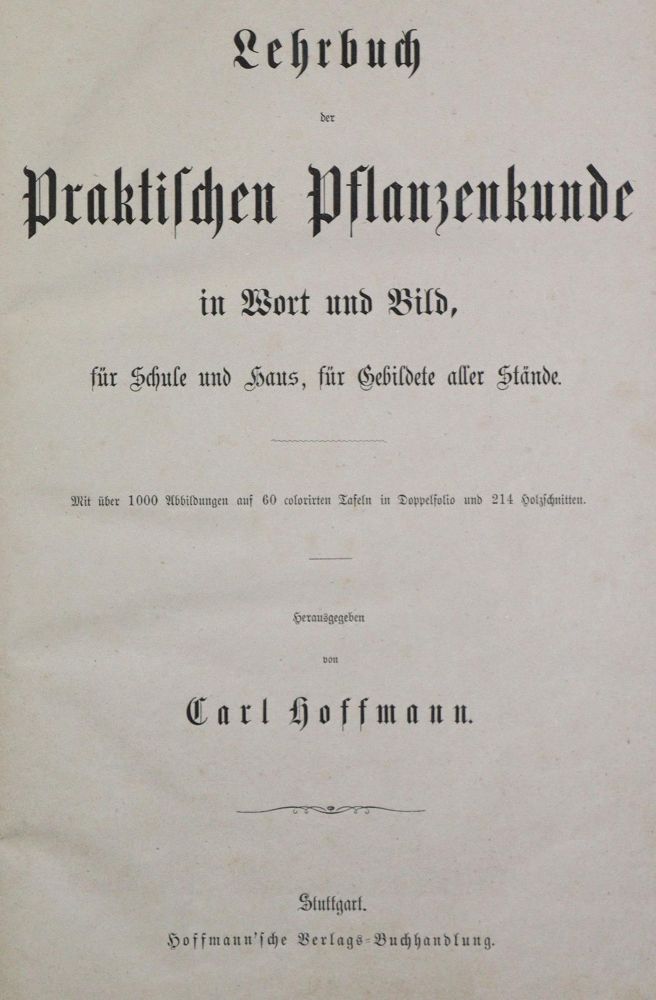 Große Abbildung Nr.4: 131-1309 Hoffmann,C.: (Botanik)