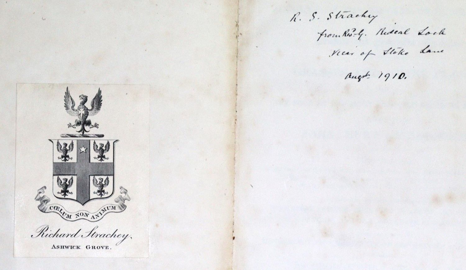Große Abbildung Nr.5: 131-1320 Sinclair,G.: (Botanik)