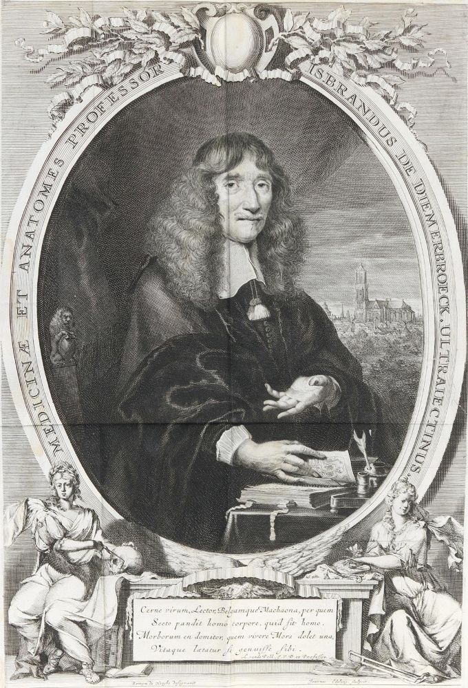 Große Abbildung Nr.2: 131-1339 Diemerbroeck,I.van.: (Medizin)