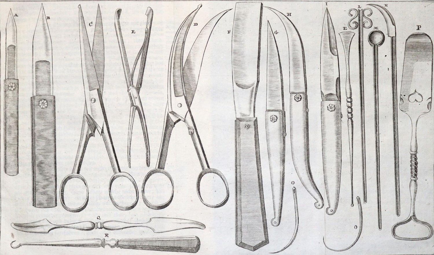 Große Abbildung Nr.2: 131-1347 Heister,L.: (Medizin)
