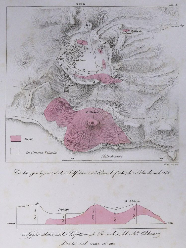 Große Abbildung Nr.1: 131-1380 Bonaparte,C.L.(J.L.).: (Zoologie, Fische)