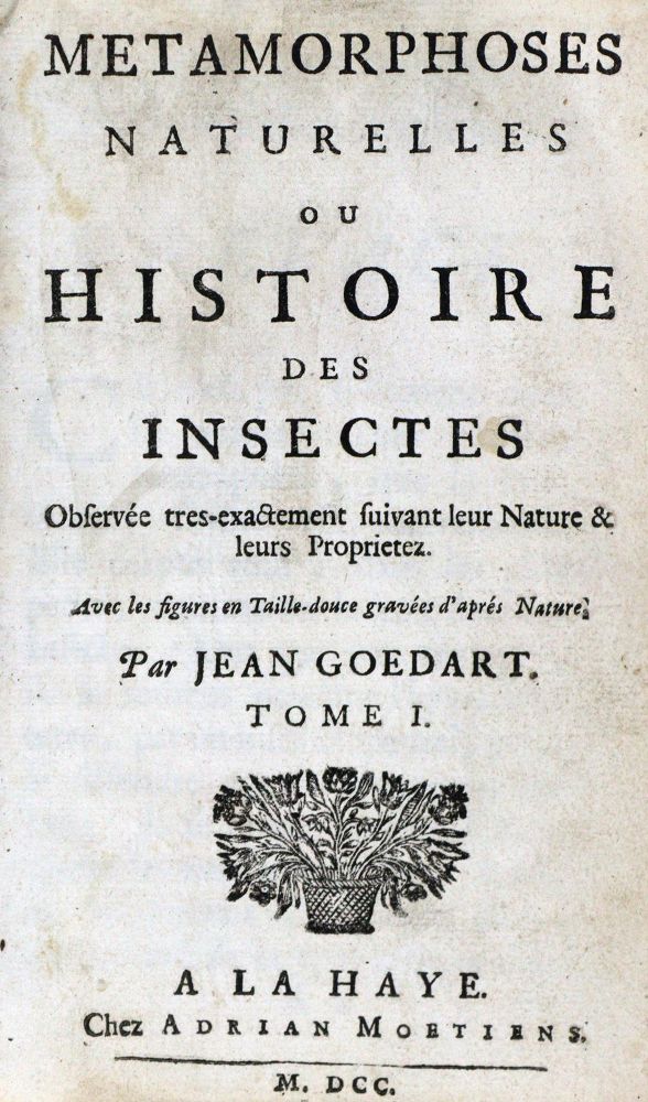 Große Abbildung Nr.1: 131-1383 Goedart,J.: (Zoologie, Insekten)