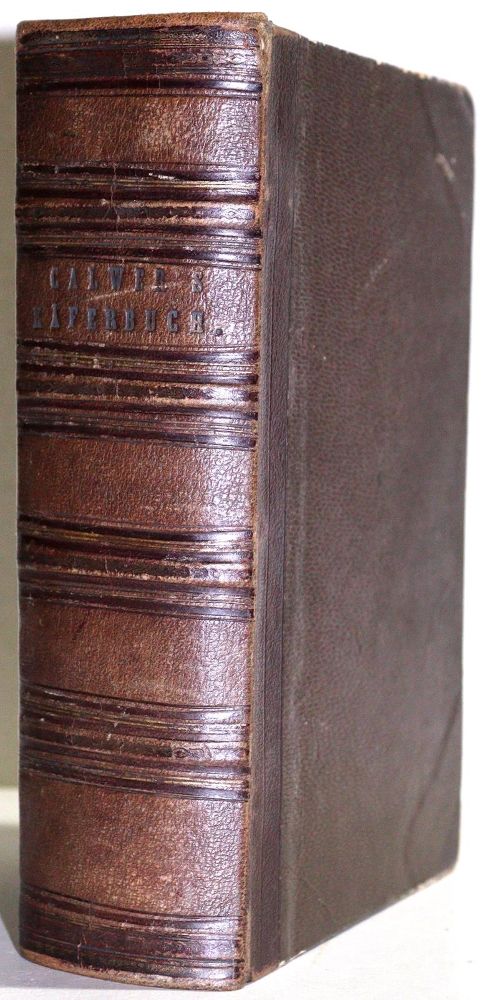 Große Abbildung Nr.3: 131-1385 Calwer,C.G.: (Zoologie, Käfer)