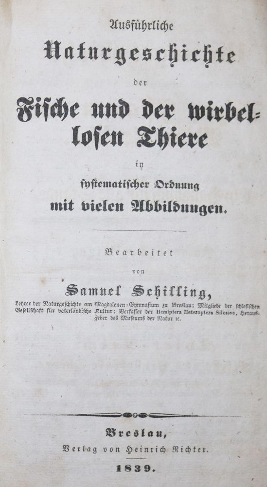 Große Abbildung Nr.1: 131-1389 Schilling,S.: (Zoologie)