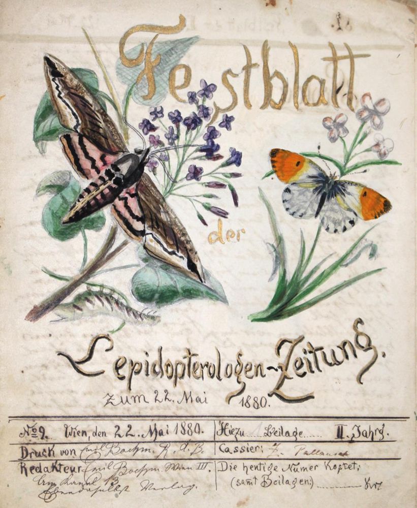 Große Abbildung Nr.1: 131-1391 Boehm, Emil: (Zoologie, Schmetterlinge, Handschriften)