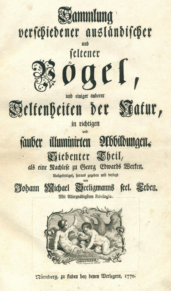 Große Abbildung Nr.11: 131-1395 Seligmann,J.M.: (Zoologie, Vögel)