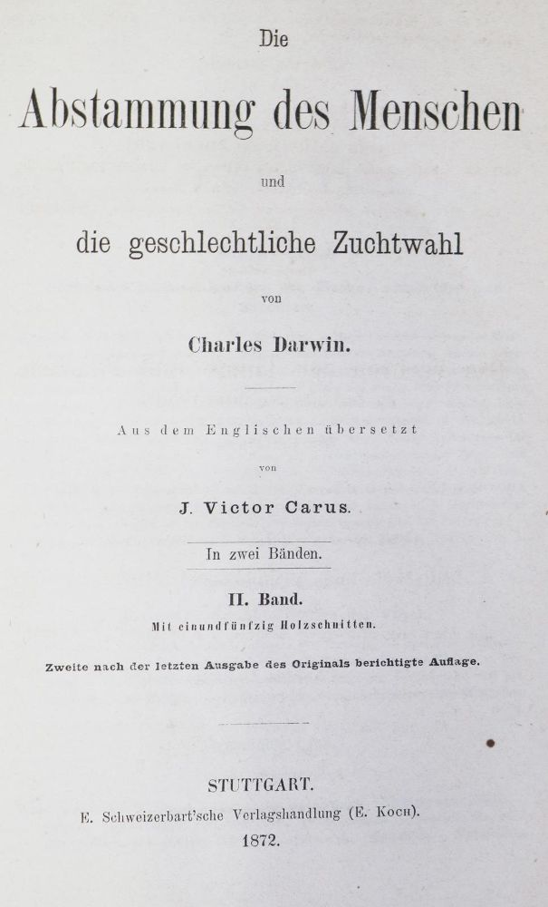Große Abbildung Nr.1: 131-1416 Darwin,F.: (Verschiedene Gebiete - Varia)