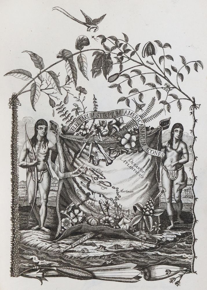 Große Abbildung Nr.2: 131-1487 Jacquin,N.J.v.: (Amerika, Botanik)
