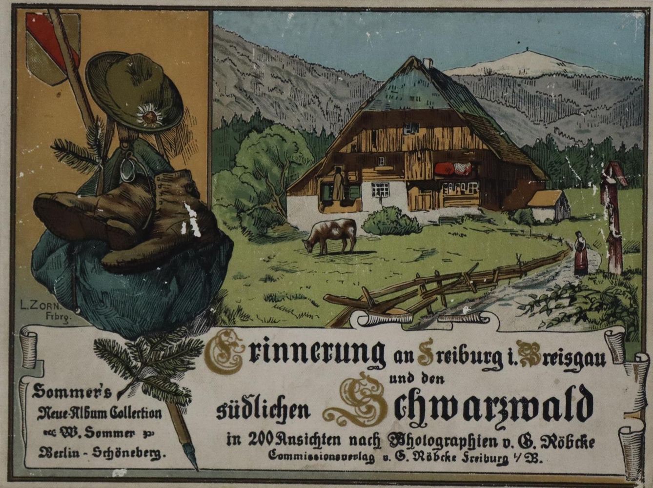 Große Abbildung Nr.1: 131-1616 Sammlung: (Deutschland, Schwarzwald)