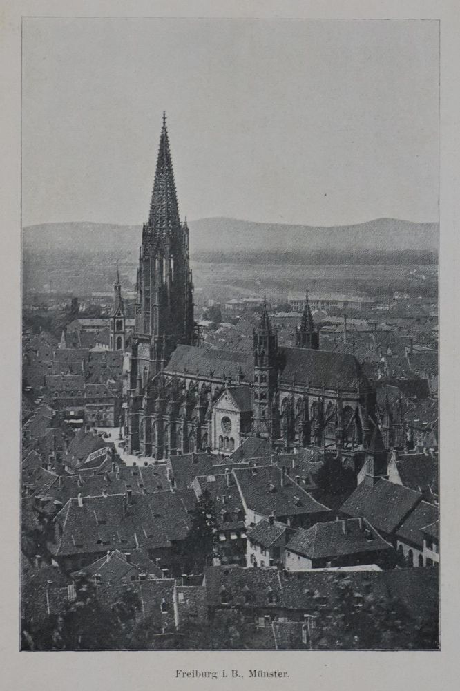 Große Abbildung Nr.2: 131-1616 Sammlung: (Deutschland, Schwarzwald)